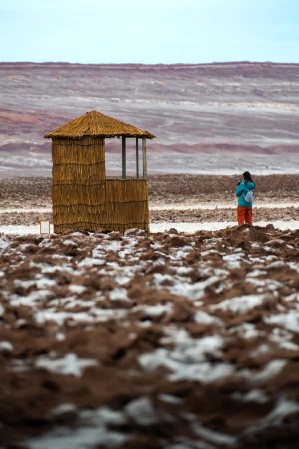 San Pedro Atacama: Baltinache Lagoons - Float Time in Extremely Salty Water: The Fun Part, With One Real Safety Twist