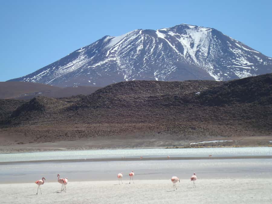 San Pedro de Atacama: 3 D. Tour Uyuni and Back to San Pedro - San Pedro to Hito Cajones: the border day and the color-lagoon route