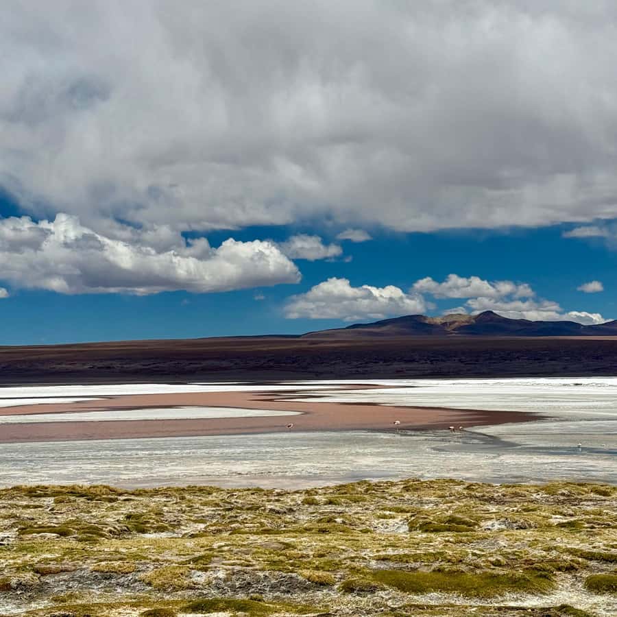 San Pedro de Atacama: 3 D. Tour Uyuni and Back to San Pedro - Uyuni Salt Flats crossing and that sunset over the shore