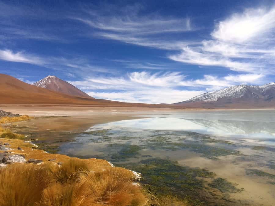 San Pedro de Atacama: 3 D. Tour Uyuni and Back to San Pedro - Day three: train cemetery, Lake Catal hike, and the return to San Pedro