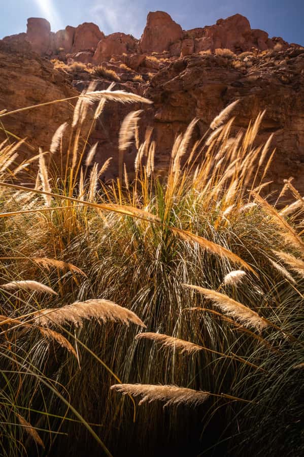 San Pedro de Atacama: Canyon Swimming Pools Trekking Trip - What to pack for desert canyon water time (your list, but with purpose)