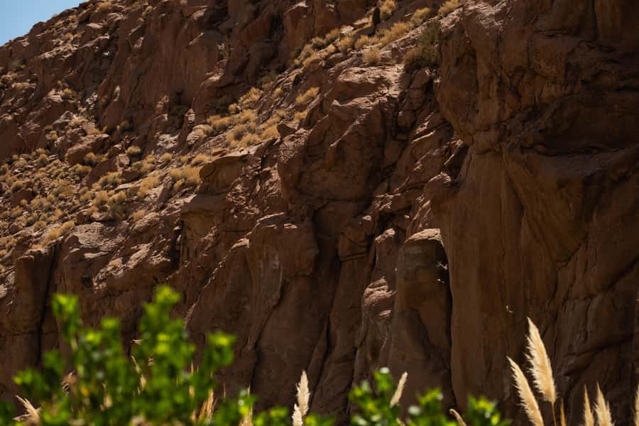 San Pedro de Atacama: Canyon Swimming Pools Trekking Trip - Who this tour fits best, and who should skip it