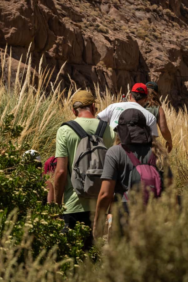 San Pedro de Atacama: Canyon Swimming Pools Trekking Trip - Hotel pickup in San Pedro: convenient, but with limits
