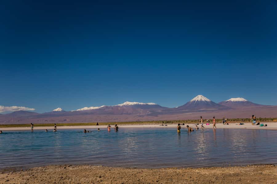 San Pedro de Atacama: Cejar Lagoon, Tebenquiche & Ojos Salar - Key highlights to look for