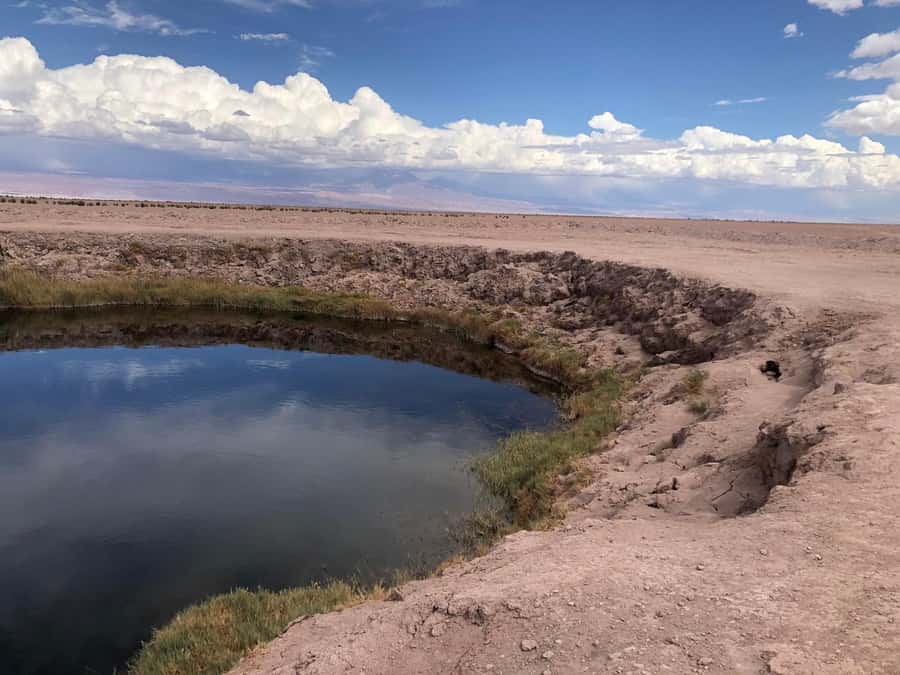 San Pedro de Atacama: Cejar Lagoon, Tebenquiche & Ojos Salar - The big picture, what this loop is really about