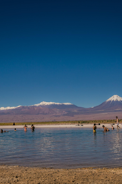 San Pedro de Atacama: Cejar Lagoon, Tebenquiche & Ojos Salar - Price and tickets, and whether $58 makes sense