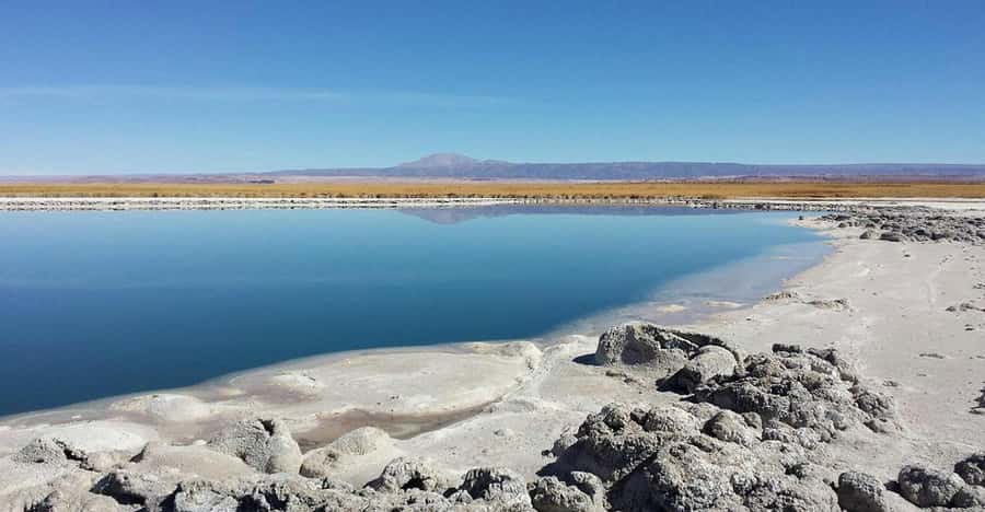 San Pedro de Atacama: Cejar Lagoon, Tebenquiche & Ojos Salar - Cejar Lagoon, the salt bath where buoyancy is the point