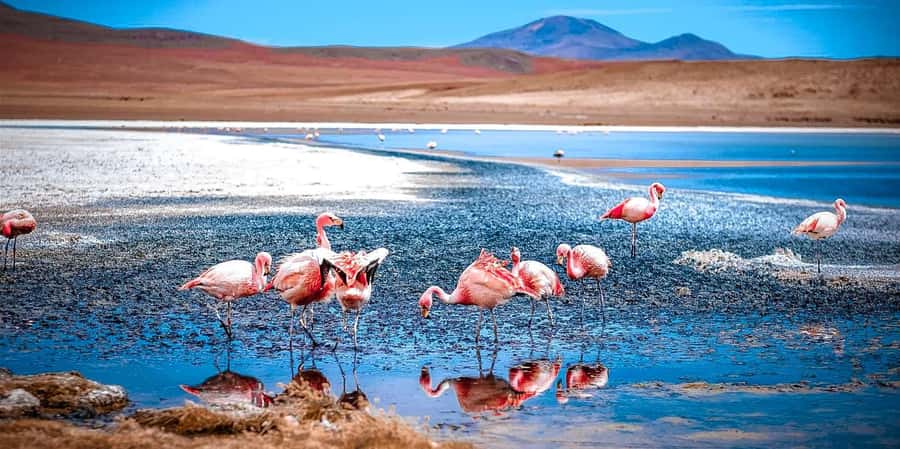 San Pedro de Atacama Day Trip: Atacama Desert and Salt Flats - Monjes de Pacana: giant volcanic sculptures off the main route