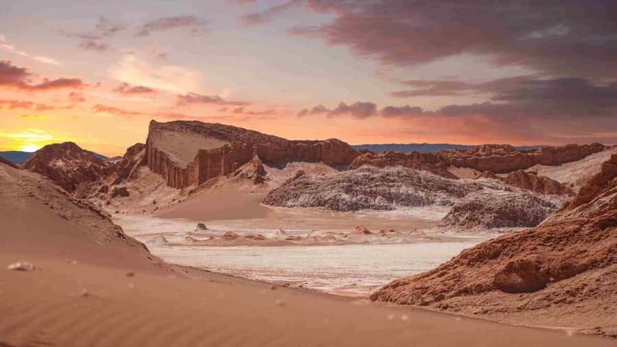San Pedro de Atacama Day Trip: Atacama Desert and Salt Flats - Logistics you should plan around for a smooth day