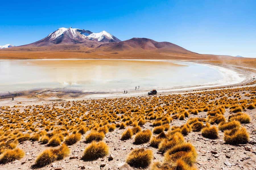 San Pedro de Atacama Day Trip: Atacama Desert and Salt Flats - Quepiaco River: seeing how life works in an otherwise harsh desert