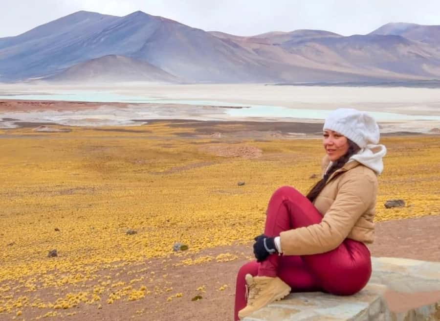 San Pedro de Atacama: Piedras Rojas and Lagunas Altiplanica - Salar de Talar and Piedras Rojas: the red stone photo moment that’s worth the drive