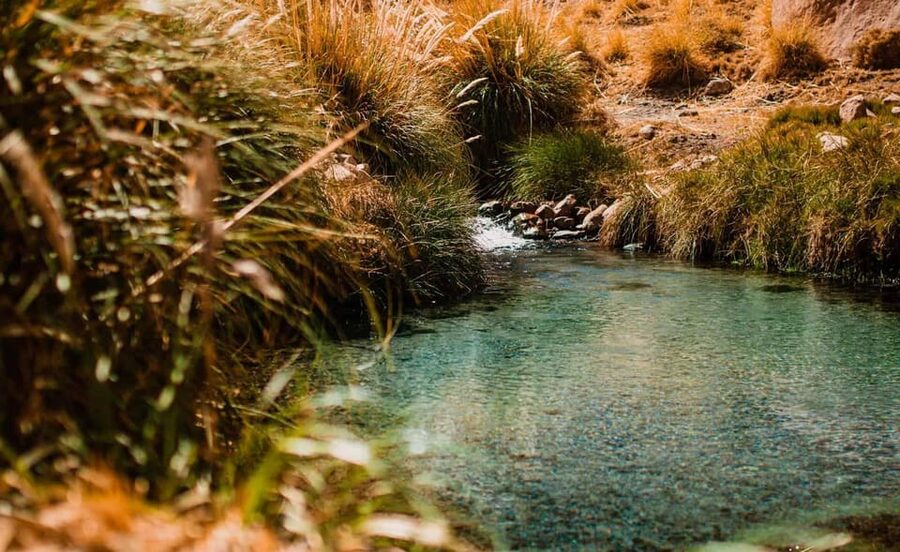 San Pedro de Atacama: Puritama Hot Springs - The guide and driver piece: practical info plus good service