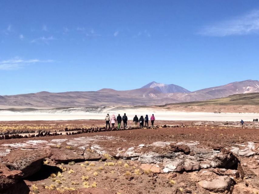 San Pedro de Atacama: Red Rocks & Altiplano Lagoons Day Trip - Guide quality is a real part of the value