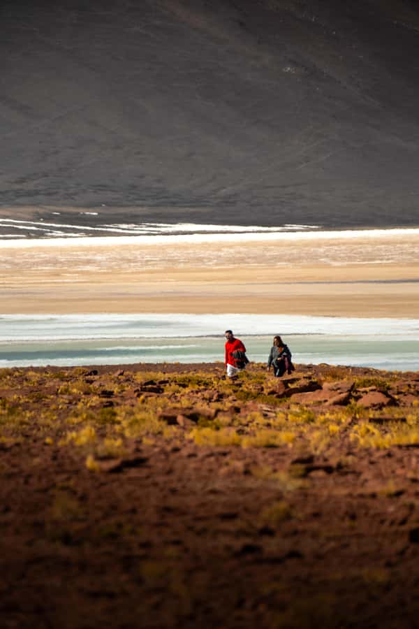 San Pedro de Atacama: Red Rocks & Altiplano Lagoons Day Trip - Red Rocks, Piedras Rojas, and the 1 hour 15 minute walk