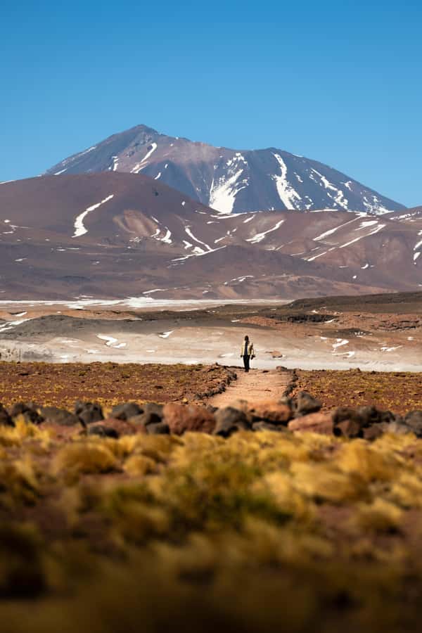 San Pedro de Atacama: Red Rocks & Altiplano Lagoons Day Trip - Miscanti Lagoon and Miñiques Lagoon above 3,000 meters