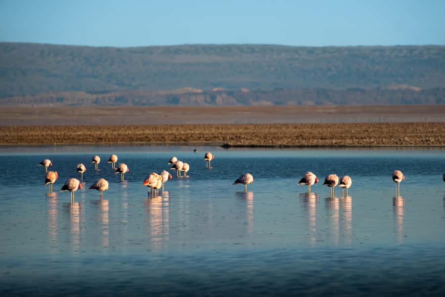 San Pedro de Atacama: Red Rocks & Altiplano Lagoons Day Trip - Socaire photo stop, then the return to San Pedro