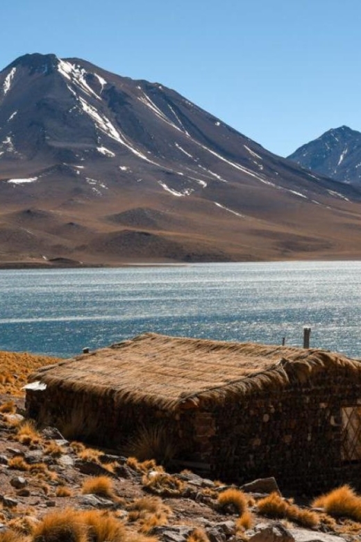 San Pedro de Atacama: Red Rocks and Aliplanic Lagoons - Salar de Atacama, Chaxa lagoon, and flamingo watching