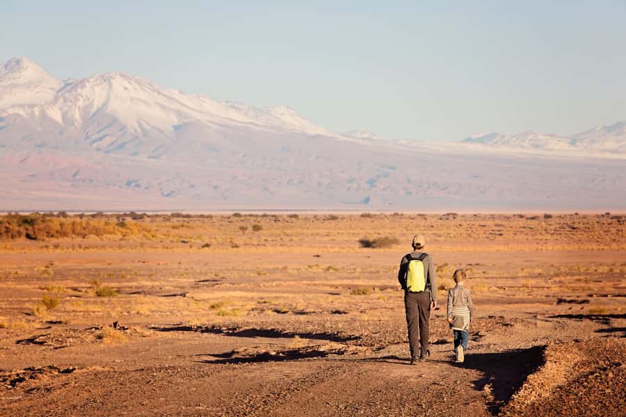 San Pedro de Atacama: Saver Pack Tatio Geysers + Moon Valley - Breakfast at dawn, then the wildlife and bird spotting bonus