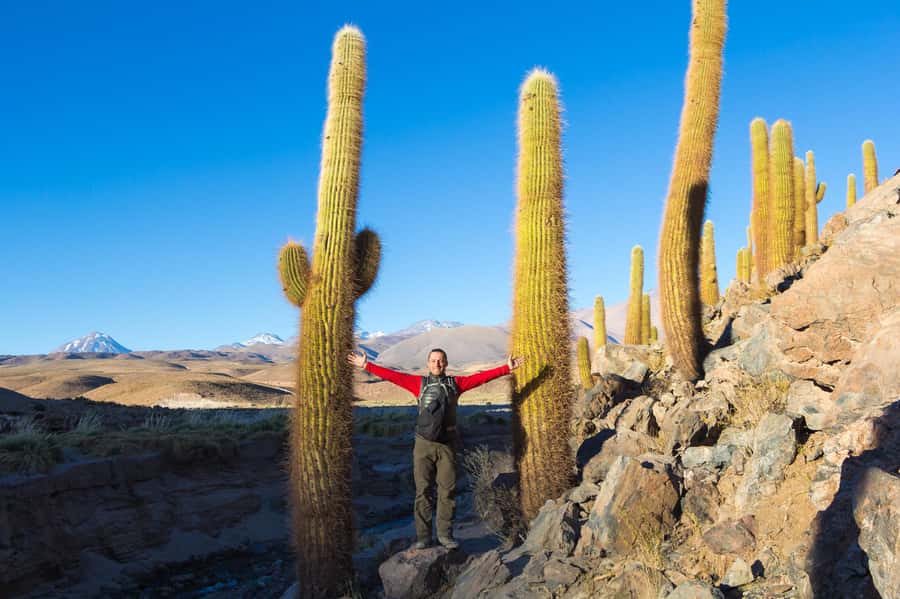 San Pedro de Atacama: Saver Pack Tatio Geysers + Moon Valley - Cold, altitude, and the gear choices that make or break the day