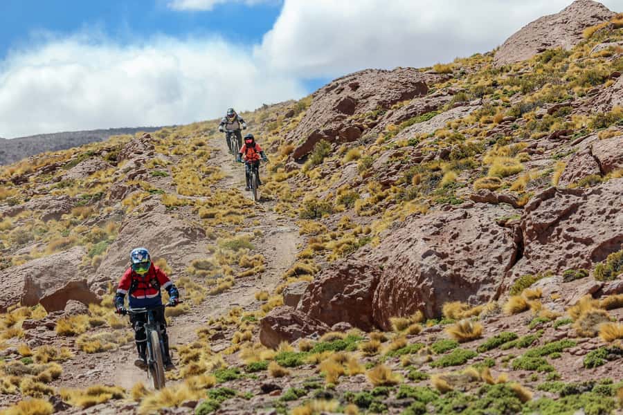 San Pedro de Atacama: Volcano Downhill Bike Tour - Who should book this downhill bike tour, and who should skip it