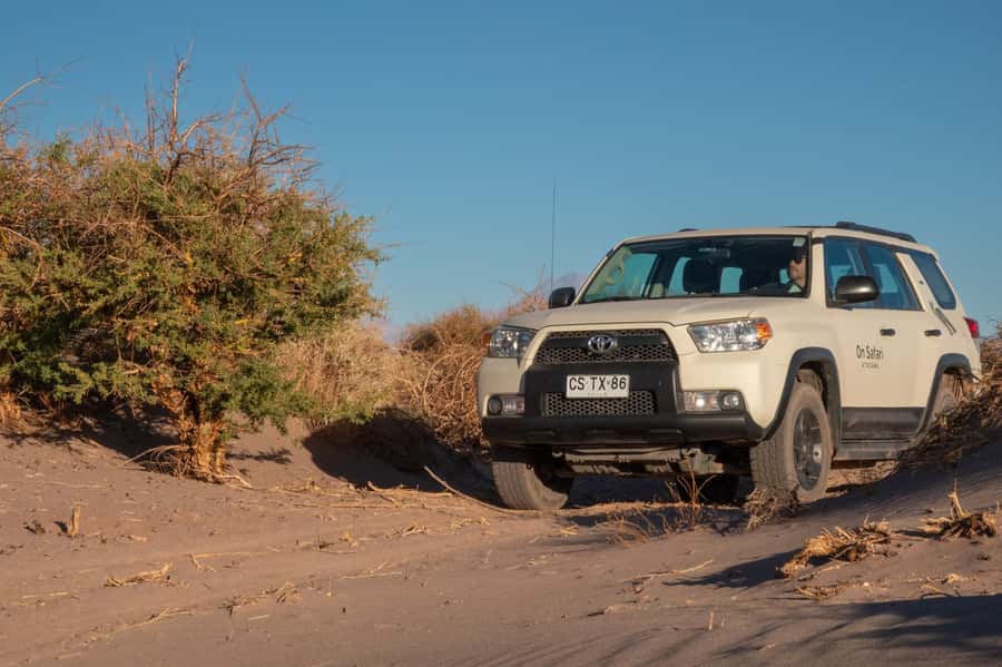 San Pedro de Atacama: Wildlife Safari and Photography Tour - What to bring so you stay comfortable and photograph better