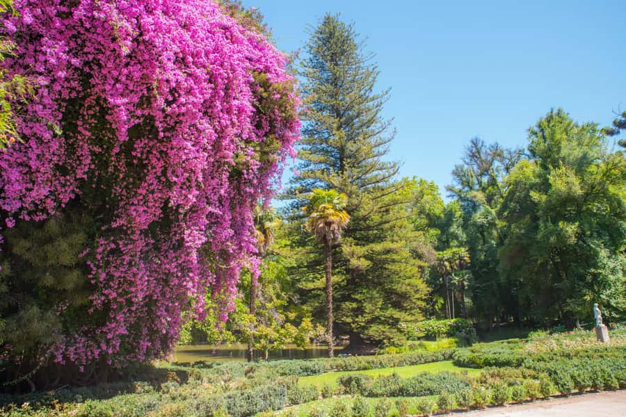 Santa Rita: Tour + Premium Wine Tasting + Private Transport - Key things to notice before you go