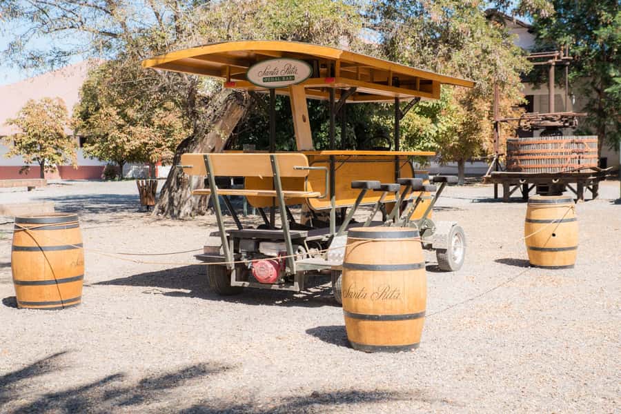 Santa Rita: Tour + Premium Wine Tasting + Private Transport - Should you book Santa Rita for a premium wine tasting day?