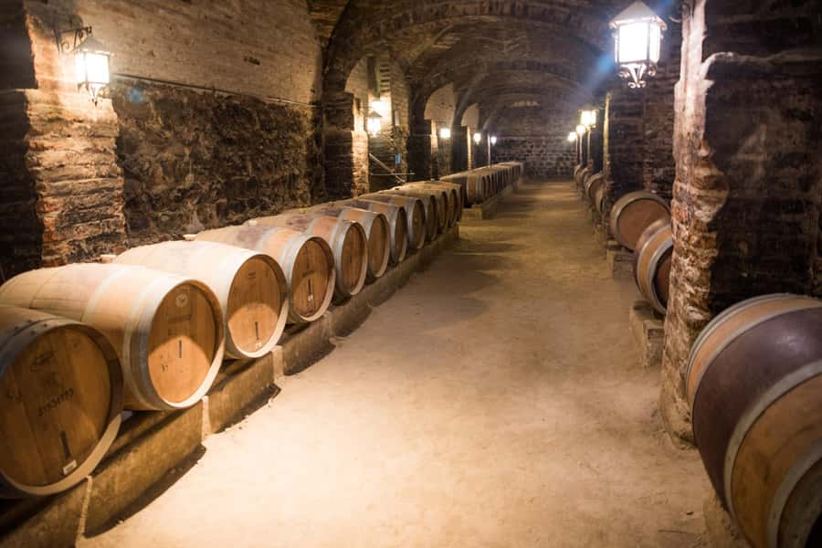Santa Rita: Tour + Premium Wine Tasting + Private Transport - Door-to-door private transport, without the pickup circus