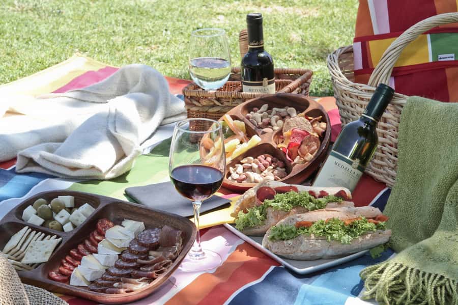 Santa Rita Vineyard Tour: History, Wine, and Outdoor Picnic - Should you book the Santa Rita Vineyard Tour?