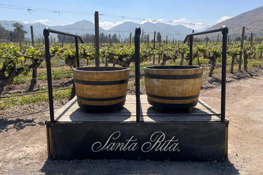 Santa Rita Vineyard Tour: History, Wine, and Outdoor Picnic - Vineyard views by bike: when the ride is worth the extra effort