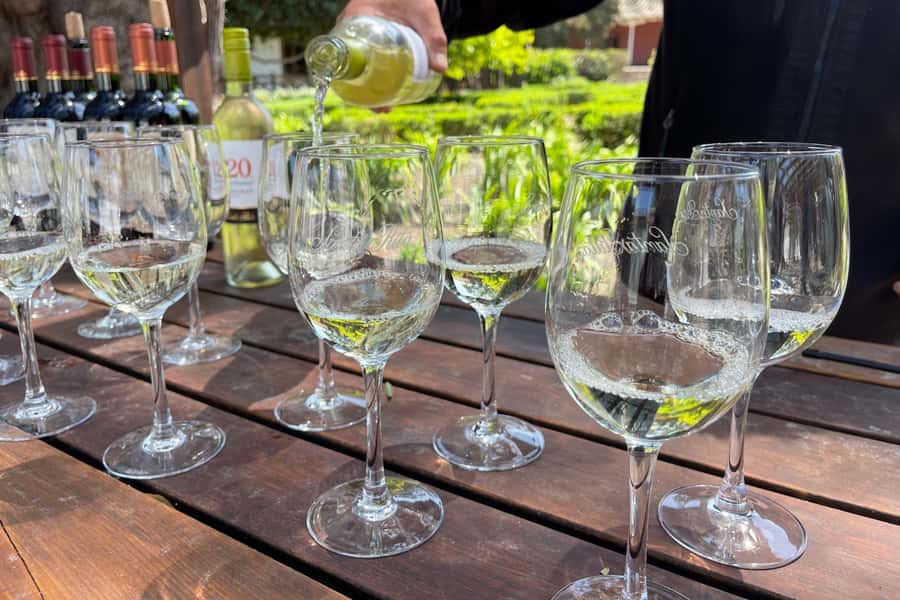 Santa Rita Vineyard Tour: History, Wine, and Outdoor Picnic - Museo Andino: 3,000+ artifacts to balance the wine day
