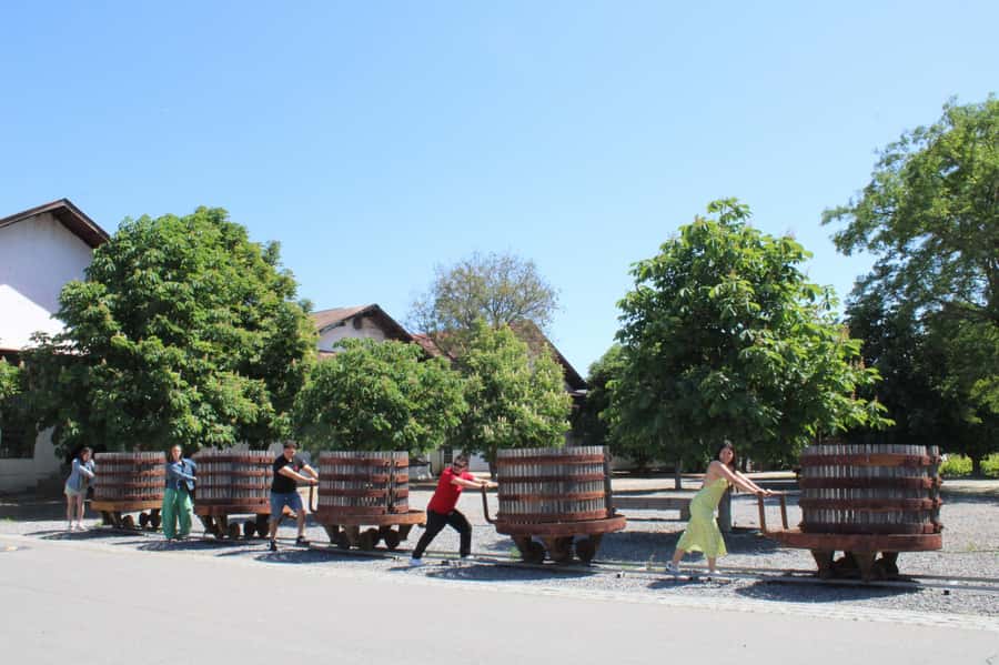 Santa Rita Vineyard Tour: History, Wine, and Outdoor Picnic - Price and value: what $123 buys in a 9-hour day