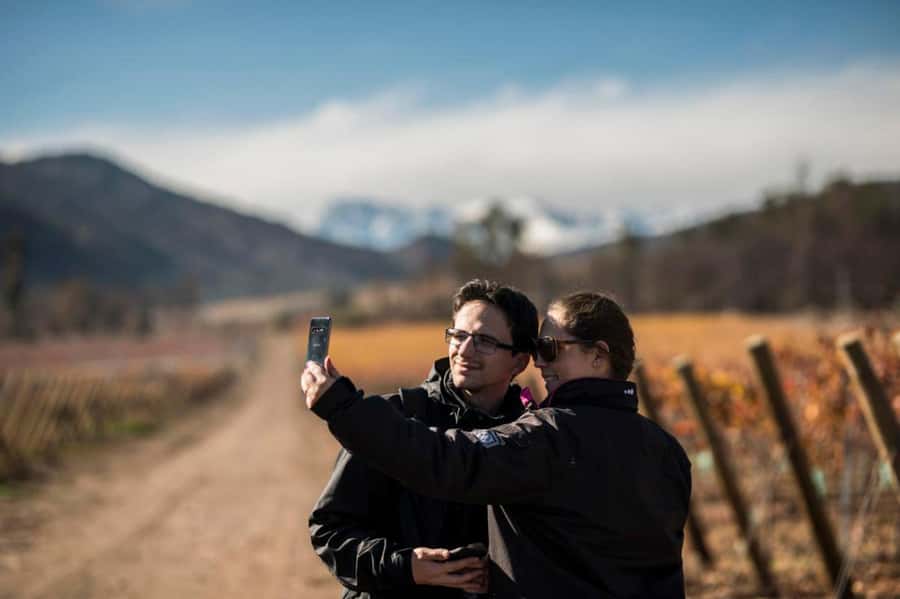 Santa Rita Vineyard Tour: History, Wine, and Outdoor Picnic - Entering Santa Rita: historic vineyards, guided viticulture, and cellar time