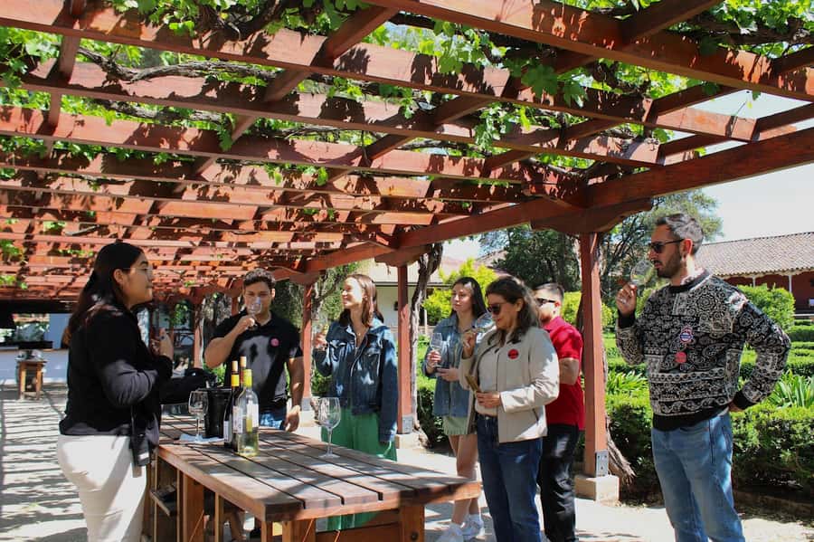 Santa Rita Vineyard Tour with Lunch, an Unforgettable Day! - Key things I think are worth your attention