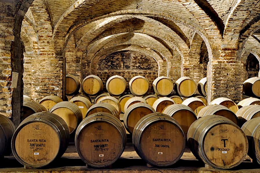 Santa Rita Vineyard Tour with Lunch, an Unforgettable Day! - Price, $207 per person, and whether it’s a smart deal
