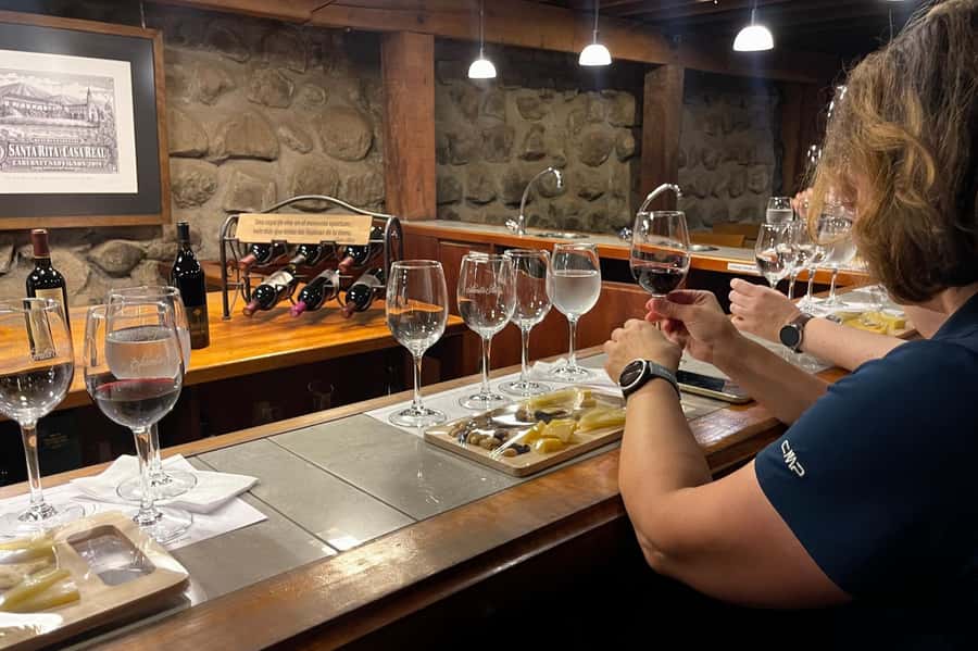 Santa Rita Vineyard Tour with Lunch, an Unforgettable Day! - Cellars, Los 120, and how Santa Rita turns history into a tasting
