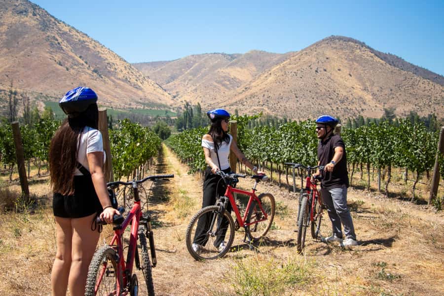 Santa Rita Vineyard Tour with Lunch, an Unforgettable Day! - Lunch at Doña Paula Restaurant, a long sit that’s actually worth it