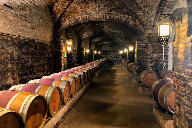 Santa Rita Winery Selection Tour - Should you book the Santa Rita Winery Selection Tour?