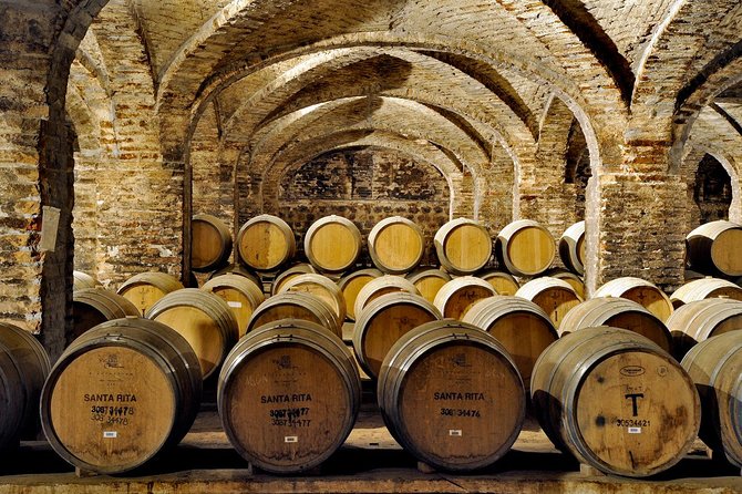 Santa Rita Winery Selection Tour - Vineyard walk and winemaking basics at Santa Rita