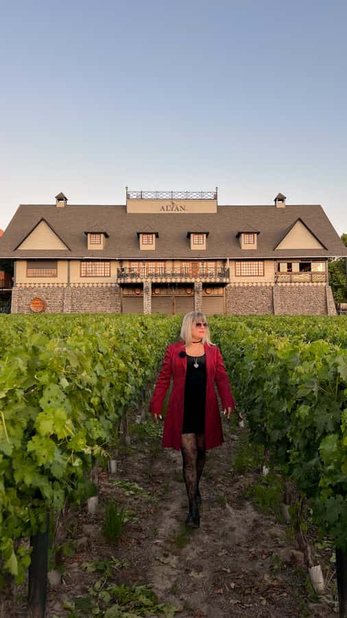 Santiago: Alyan Winery Sunset with Wine Tastings and Dinner - A Long-Afternoon Winery Trip That Still Feels Relaxed