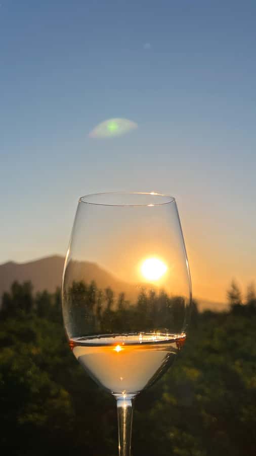 Santiago: Alyan Winery Sunset with Wine Tastings and Dinner - The Family Ambassador Tastings: 3 to 4 Stops, Not Just One Pour