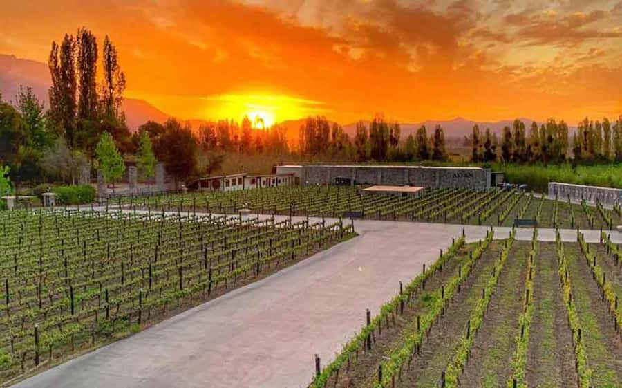 Santiago: Alyan Winery Sunset with Wine Tastings and Dinner - Cheese, Hams, Nuts, and an Informal Dinner Ending