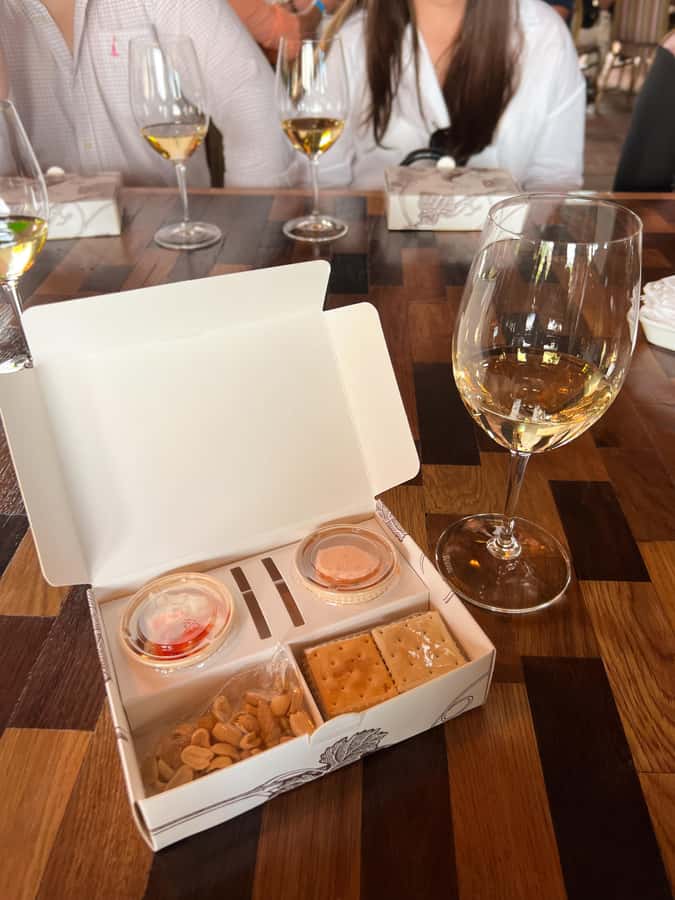Santiago: Alyan Winery Sunset with Wine Tastings and Dinner - Price and Value: What $111 Buys (If You Choose the Right Options)