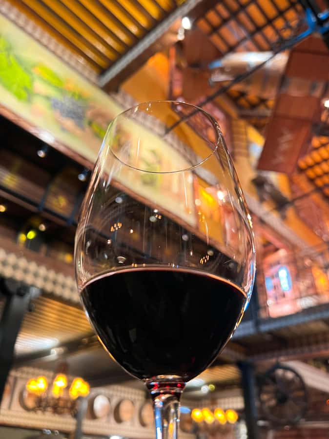 Santiago: Alyan Winery Sunset with Wine Tastings and Dinner - What to Bring, What Not to Pack, and How to Stay Comfortable