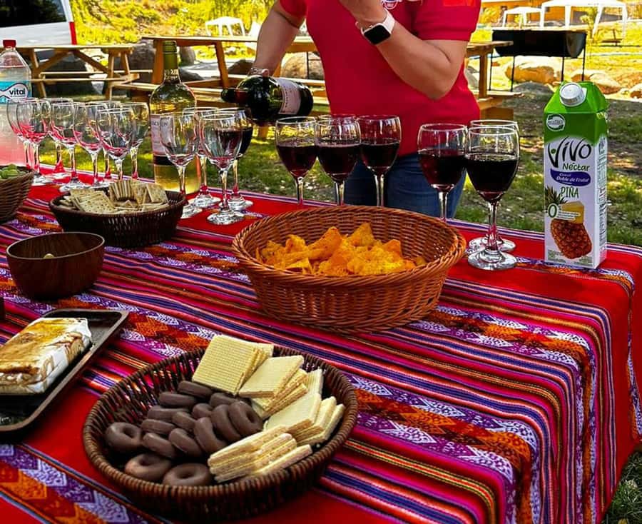 Santiago: Cajon del Maipo & Embalse El Yeso Trip with Picnic - Key highlights to look for