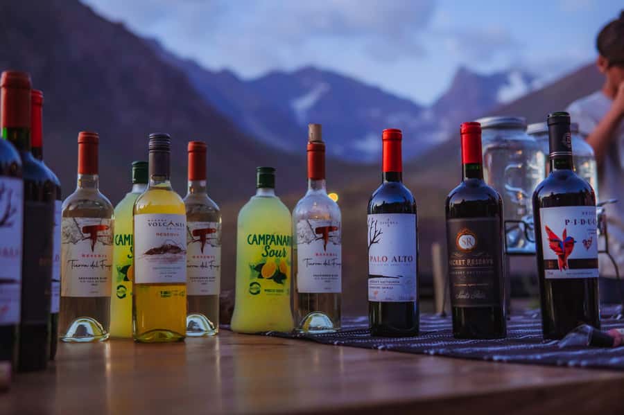 Santiago: Cajón del Maipo Hot Springs & Chilean Barbecue - The Chilean barbecue, finger foods, lounges, and wine from central and southern Chile