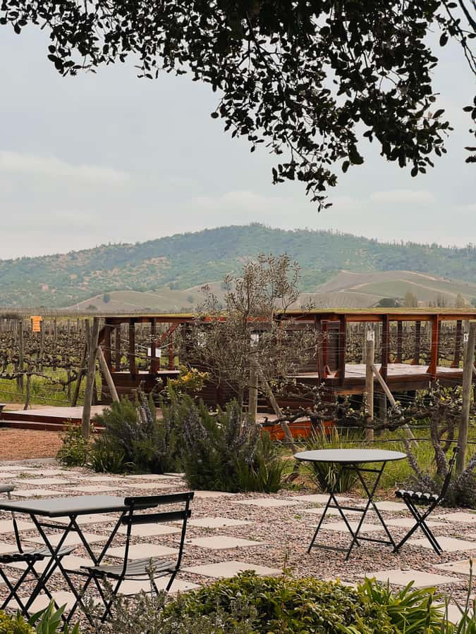Santiago: Casa del Bosque Winery with Tasting and Lunch - Price and what you really get for $120