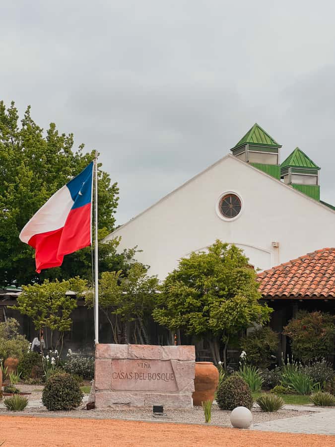 Santiago: Casa del Bosque Winery with Tasting and Lunch - Stop 1: The guided tour at Casa del Bosque (about 1.5 hours)