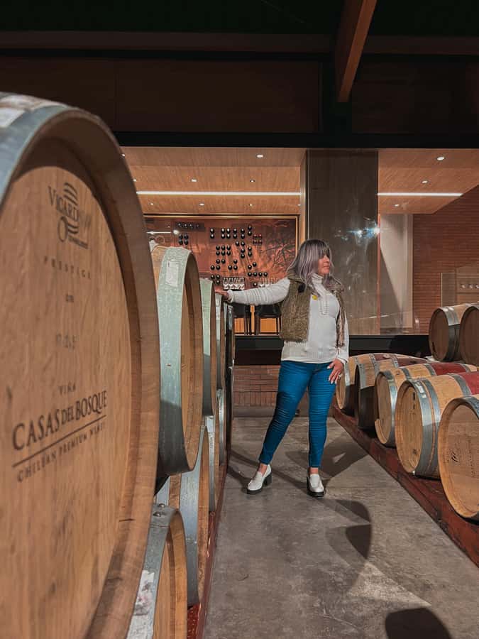 Santiago: Casa del Bosque Winery with Tasting and Lunch - Stop 2: Four wine tastings with a sommelier