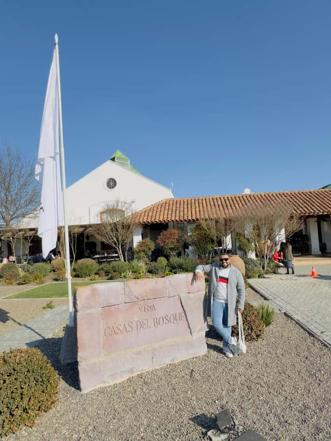 Santiago: Casa del Bosque Winery with Tasting and Lunch - Who this tour fits best (and who should skip it)